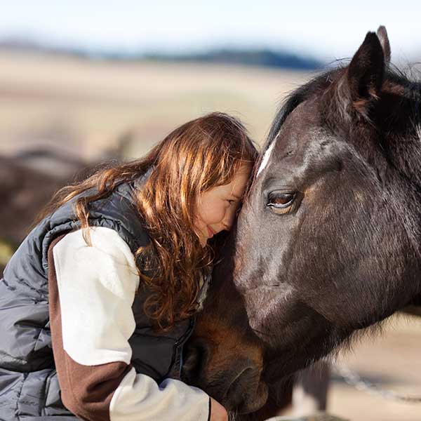 equitazione-cavallo