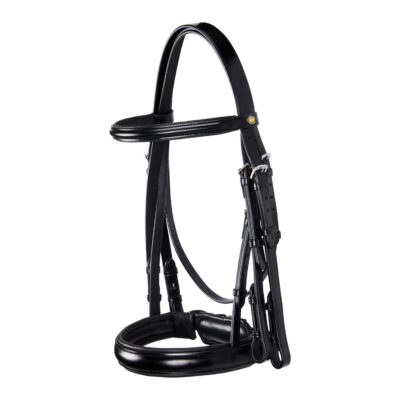 Briglia Dressage Equestro in cuoio