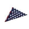 AB00241-bandana-bandiera-americana-pools