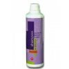 shampoo-a-secco-fm-italia