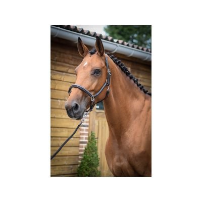 cavezza Grooming jump'in collezione one