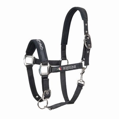 Capezza modello Timmy Equiline