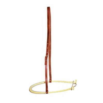 noseband-rawhide-pool's