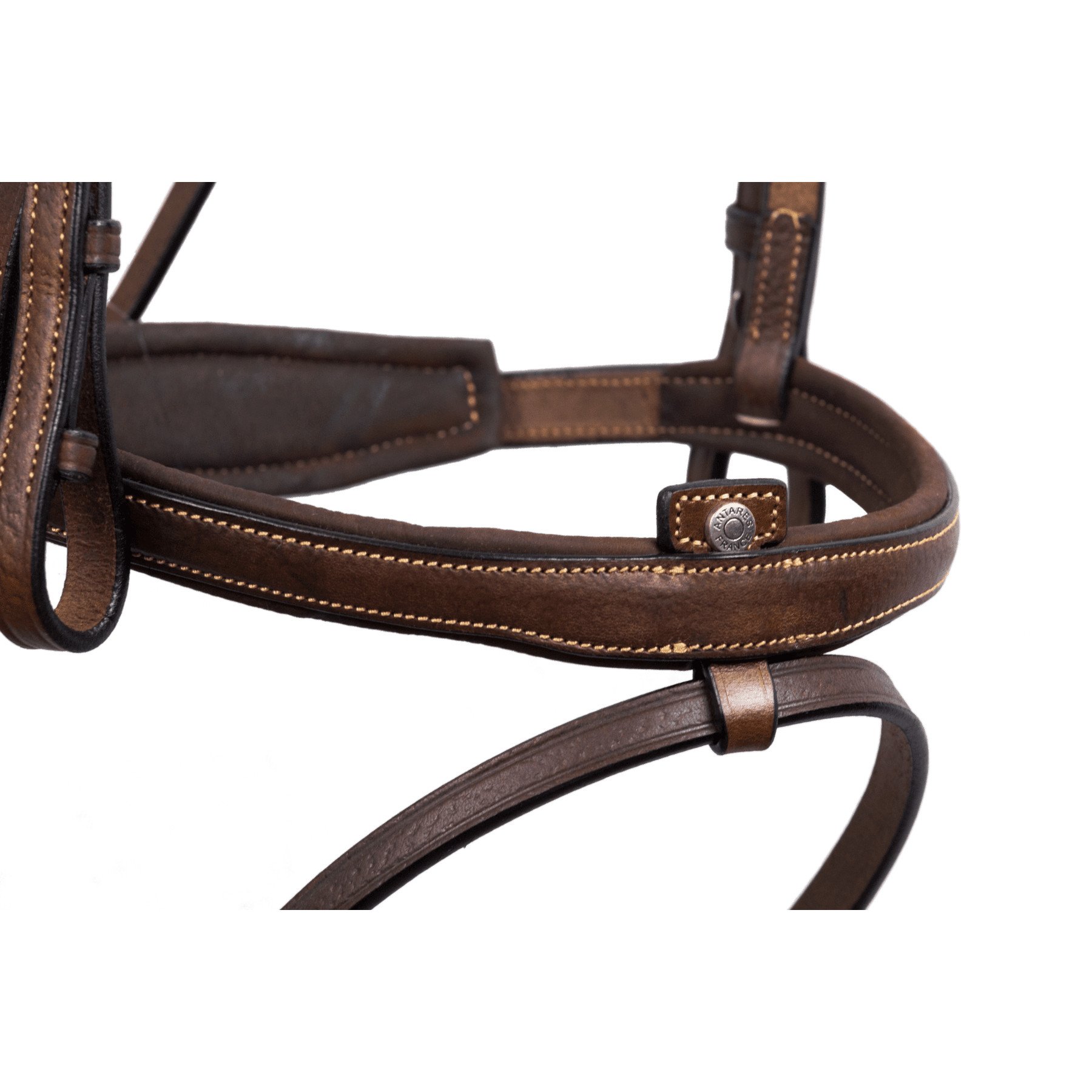 flash-noseband-bridle (5)