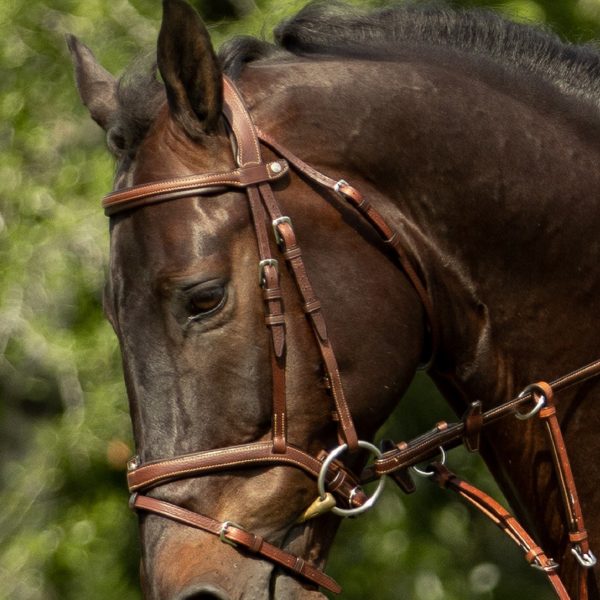 flash-noseband-bridle