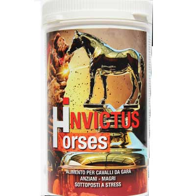 invictus-horses