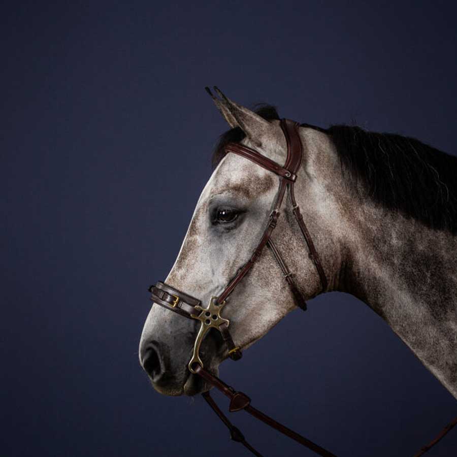 testiera-hackamore-dyon