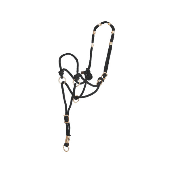 CA00150_BK-1