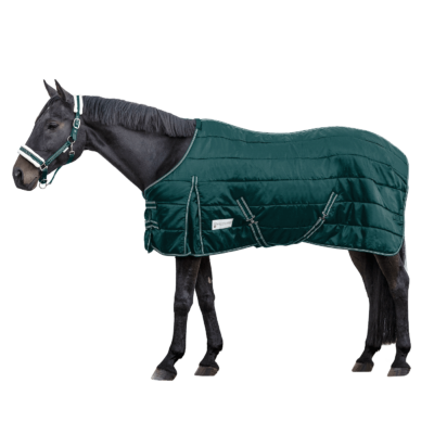 Coperta da box ECONOMIC, 300 g