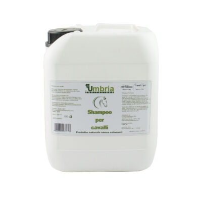 AMA SHAMPOO (5 LT)