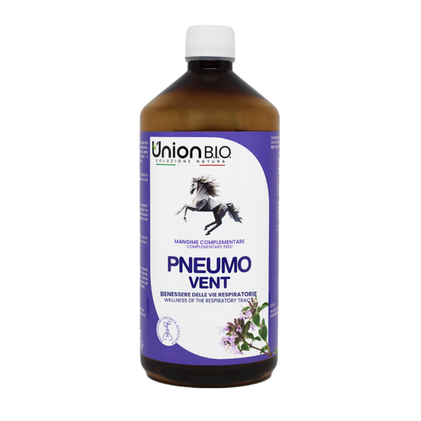 PNEUMO_VENT_1L